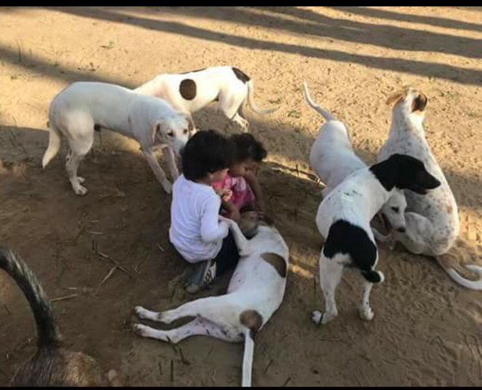 View image on Twitter View image on Twitter