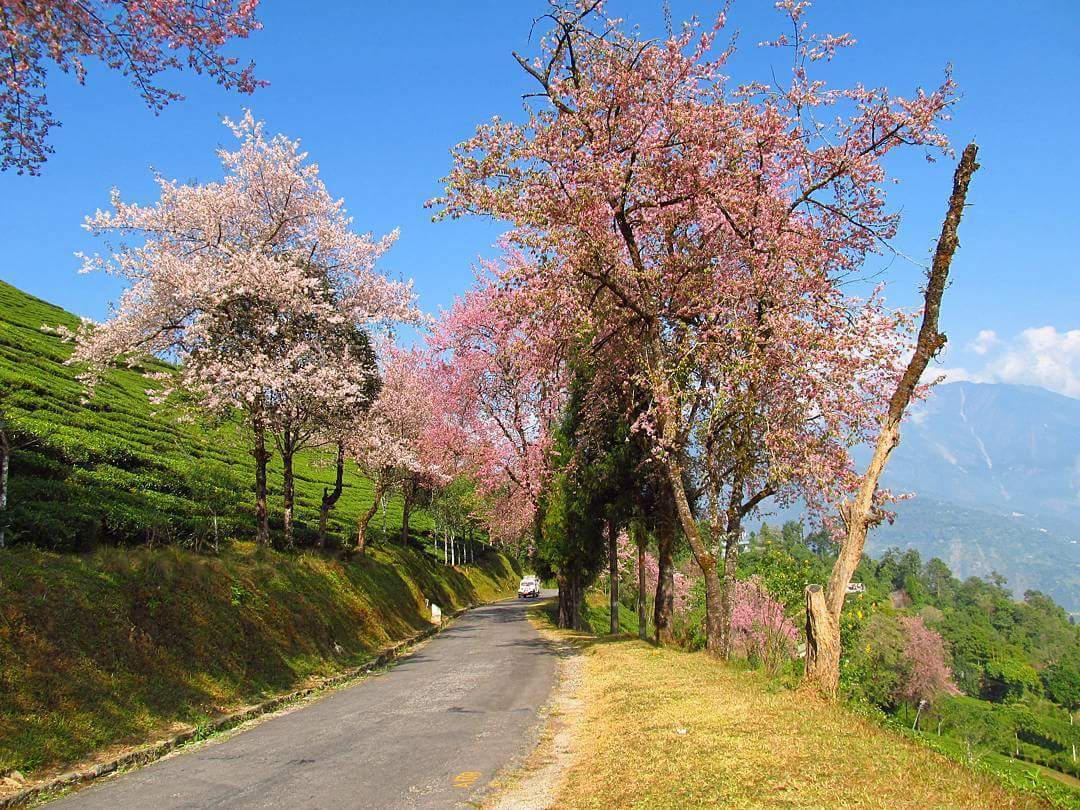 On the way to namchi, Sikkim <3
P.C - Arnab Srimani
