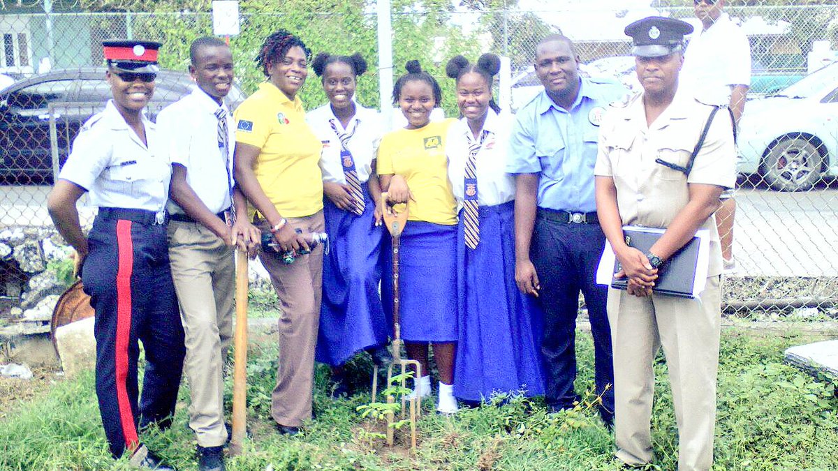 koentimmers's tweet photo. The students of Jamaica planted trees at school and at the Spanish Town Police Station. https://t.co/KmUrV5pgzO https://t.co/2EgBgWnL07