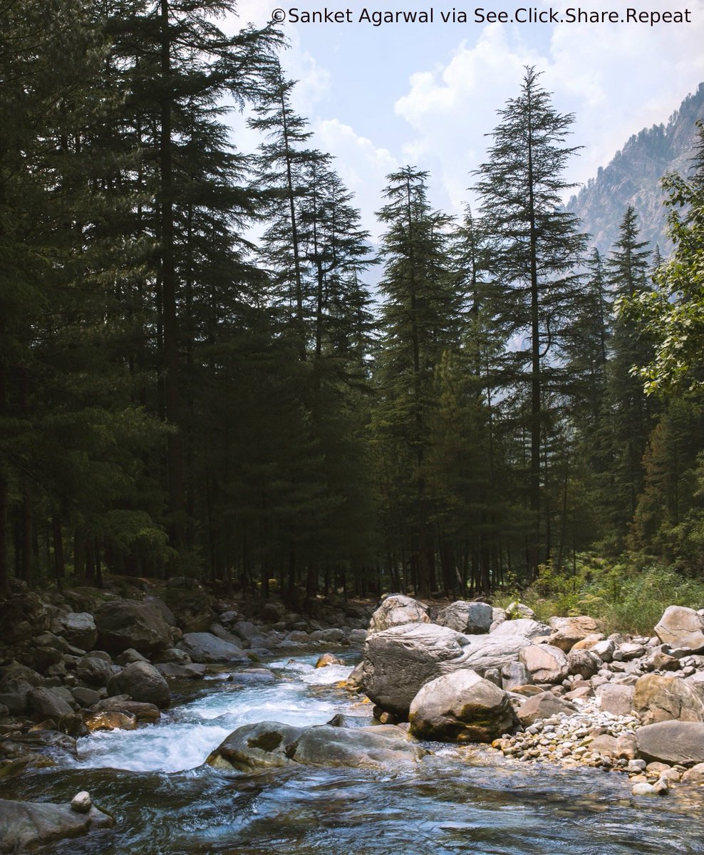 lonelyplanet_in's tweet photo. #Kasol in #HimachalPradesh, is a charming hill station lined with restaurants, cafes, bakeries and guesthouses. https://t.co/rkkzRRPAHm