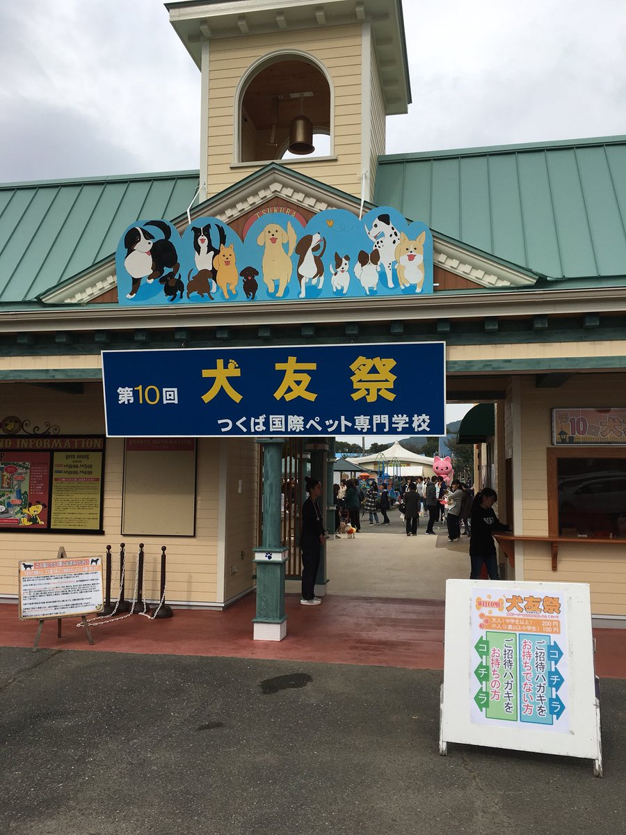 Char 8 ノ در توییتر 今日はつくば国際ペット専門学校の犬友祭に招待して頂き熊次郎と花子を連れて行ってきました٩ ˊᗜˋ و つくば国際ペット専門学校 犬友祭 Char 8 ノ در توییتر 今日はつくば国際ペット専門学校の犬友祭に招待して頂き熊次郎と花子を連れて行ってきました٩ ˊᗜˋ و つくば国際ペット専門学校 犬友祭