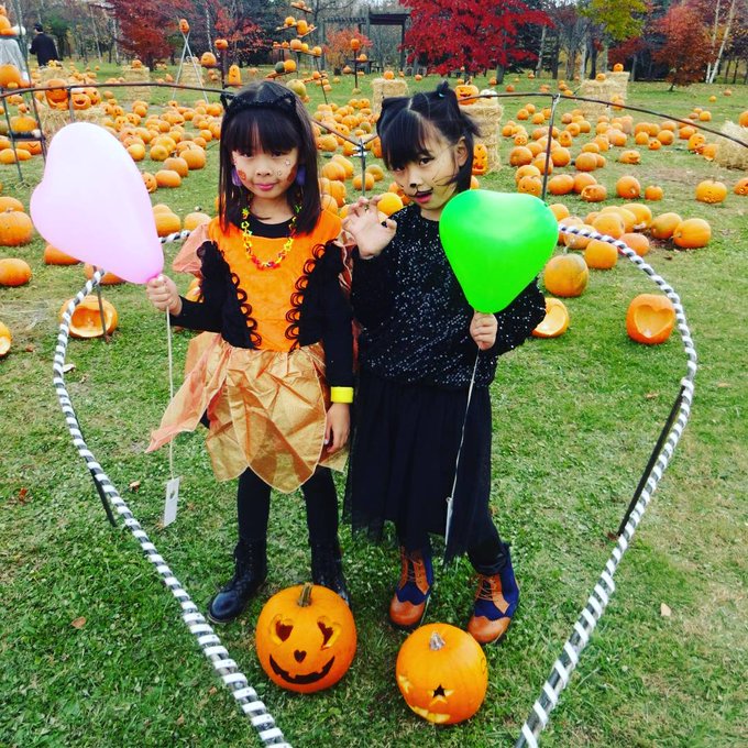 ゆらのTwitter画像9