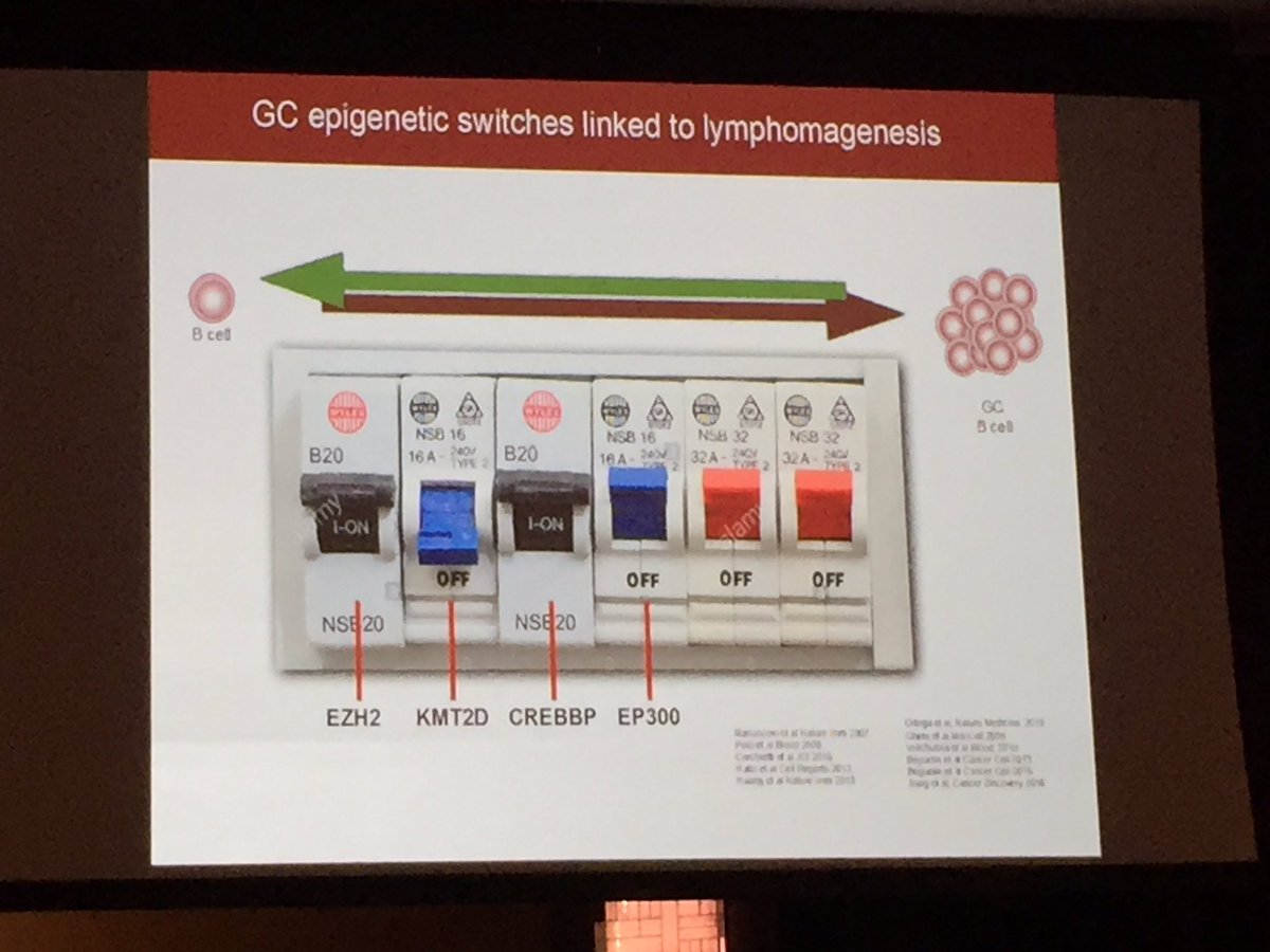 WCMLymphoma's tweet photo. Dr. Ari Melnick makes case for epigenetic-based therapies to target switches driving B-cell #lymphomas. #LM2017 https://t.co/gMK2XsZBn5