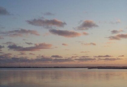 whpublishing's tweet image. On Nov 15th, take a step forward! Stay tuned for our latest #book: a revolution in living life fully.
#success #selfimprovement
#Empowerment