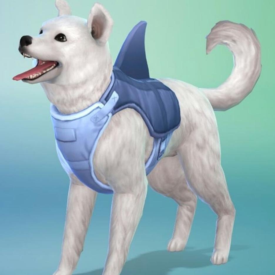 _Sims_4_love's tweet photo. #sims4 #simslives #sims4ever #simsarmy #simsfamilies #simmers #hundeliebe #dogs #cats https://t.co/JgB4nFPlL9