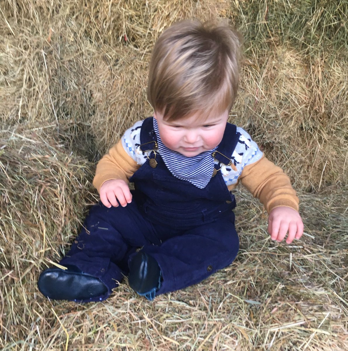 As the saying goes, make hay while the sun's shining (and wear dungarees whatever the weather) - @dottydungarees #toddlerstyle