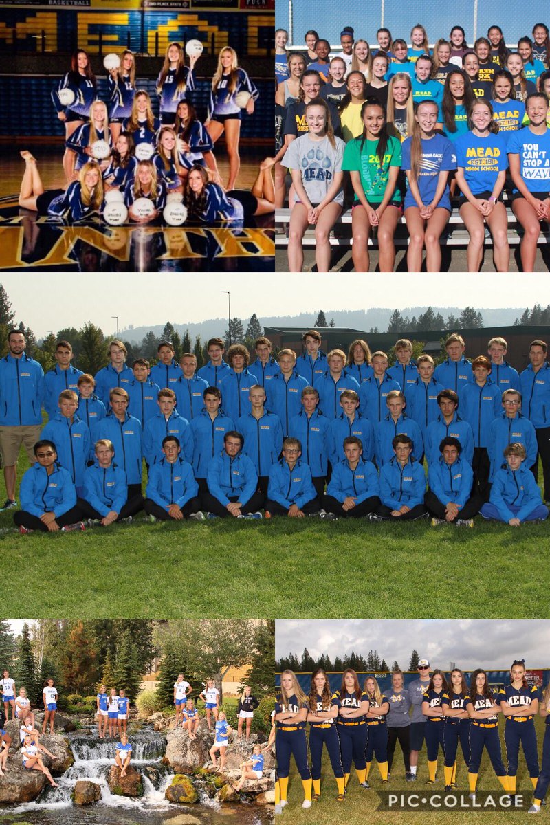 Mead Softball (MHSPanthersSB) Twitter