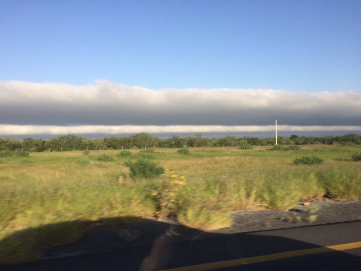 cecy_omana's tweet photo. @webcamsdemexico yo creo que es una #shelf cloud la vi el día de ayer en la carretera de Tamaulipas . Estoy en lo correcto? https://t.co/ghvhZty44T