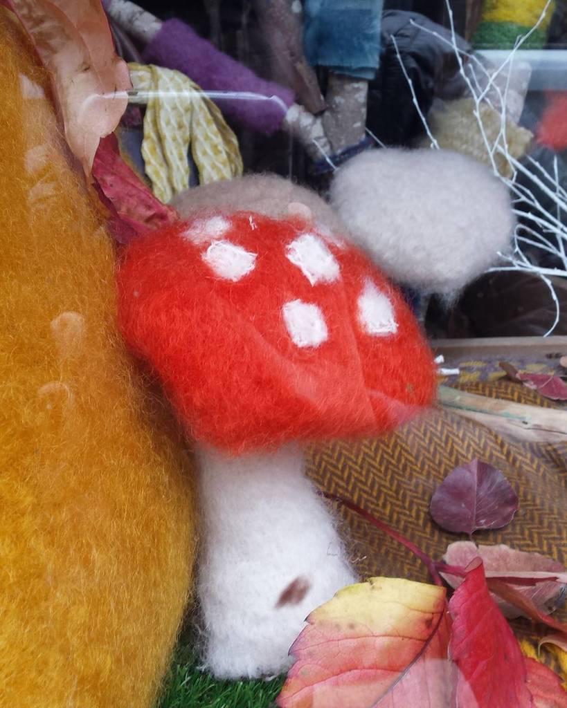Riojatrek's tweet photo. Precioso el escaparate micológico de @MANTASEZCARAY este otoño. Qué setas tan calentitas :-) https://t.co/c057iy2dou