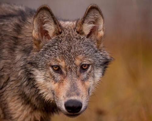 ~Have a nice weekend my friends~