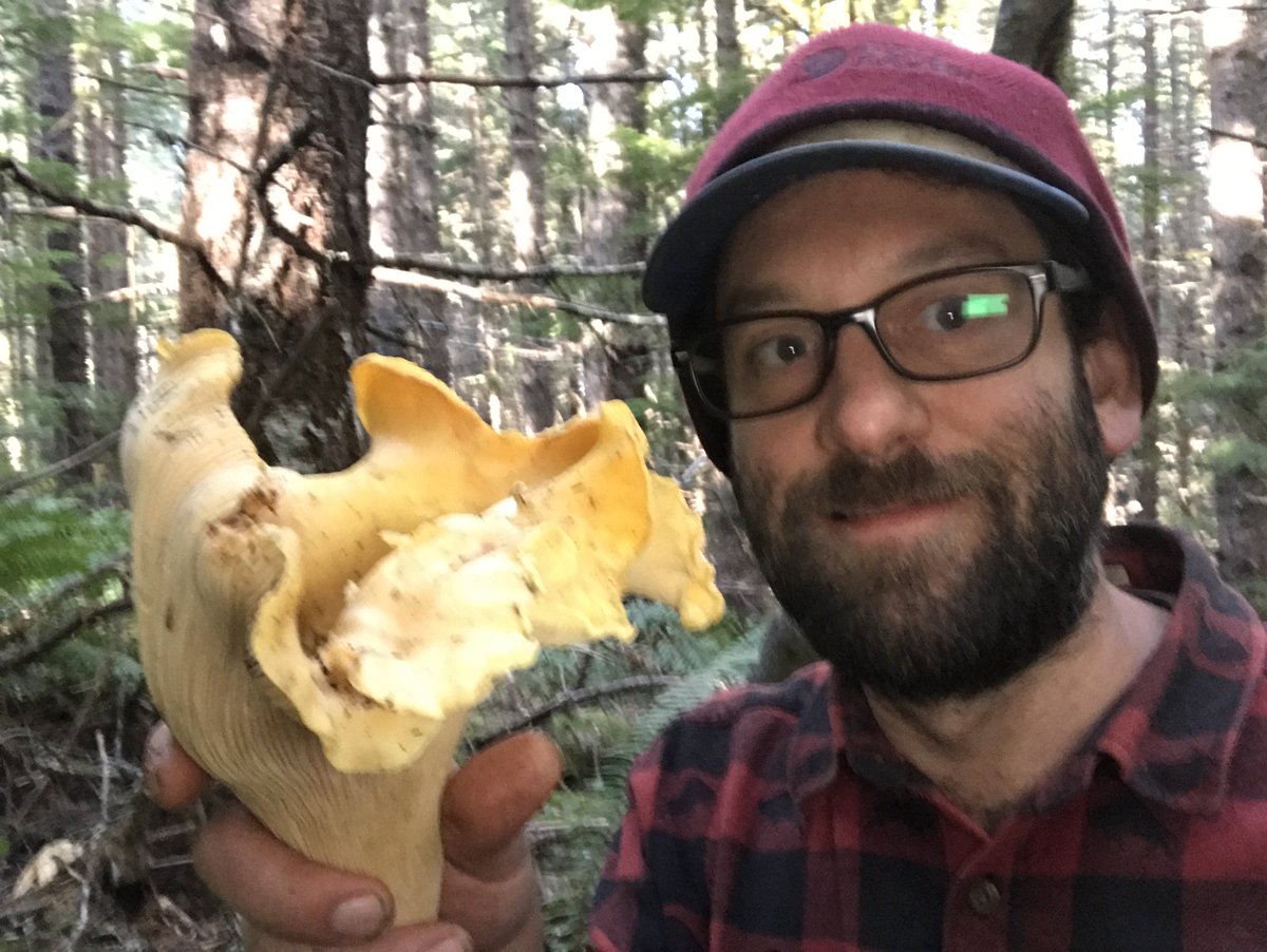 NewFrontierMkt's tweet photo. Come on down to #LaneCountyFarmersMarket to see the biggest #Chanterelle I’ve ever found! https://t.co/nKSxBbYvdP