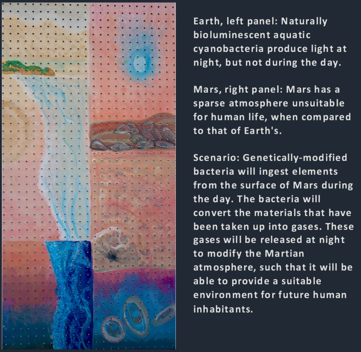 rkrishnasanka's tweet image. RT cidar_lab: RT BostonU_iGEM_WL: Check out our art project for #HumanPractices, titled #CircadiaSynthetica!