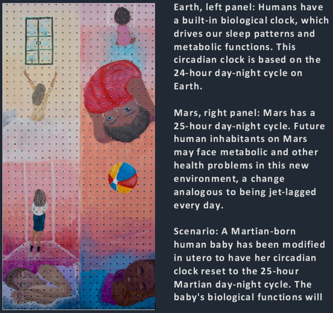 rkrishnasanka's tweet image. RT cidar_lab: RT BostonU_iGEM_WL: Check out our art project for #HumanPractices, titled #CircadiaSynthetica!