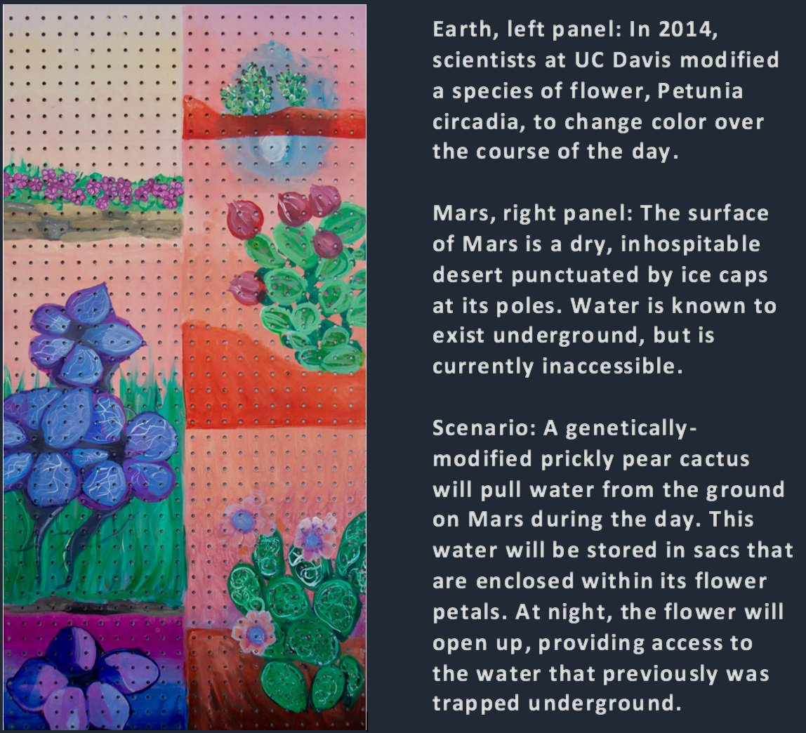 rkrishnasanka's tweet image. RT cidar_lab: RT BostonU_iGEM_WL: Check out our art project for #HumanPractices, titled #CircadiaSynthetica!