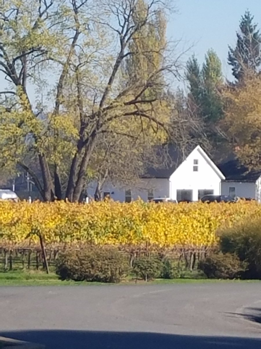 Hanging out at <a href="/duckpondcellars/">Duck Pond Cellars</a> for Stop #1 of the day.  #pdxpartybus #winetour #winetasting