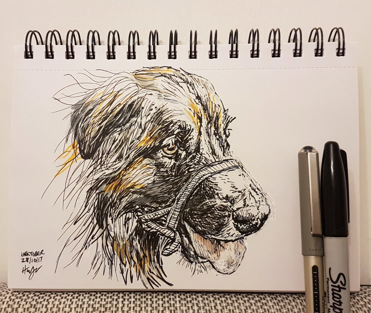 Leonberger in the sunshine

#leonberger #dogs #pet #art #inktober #ink #sketch #drawing