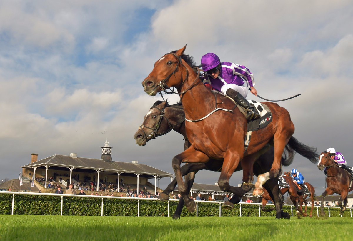 RacingPost's tweet photo. The moment history was made! #SaxonWarrior #RacingPostTrophy https://t.co/acu75qW7AI