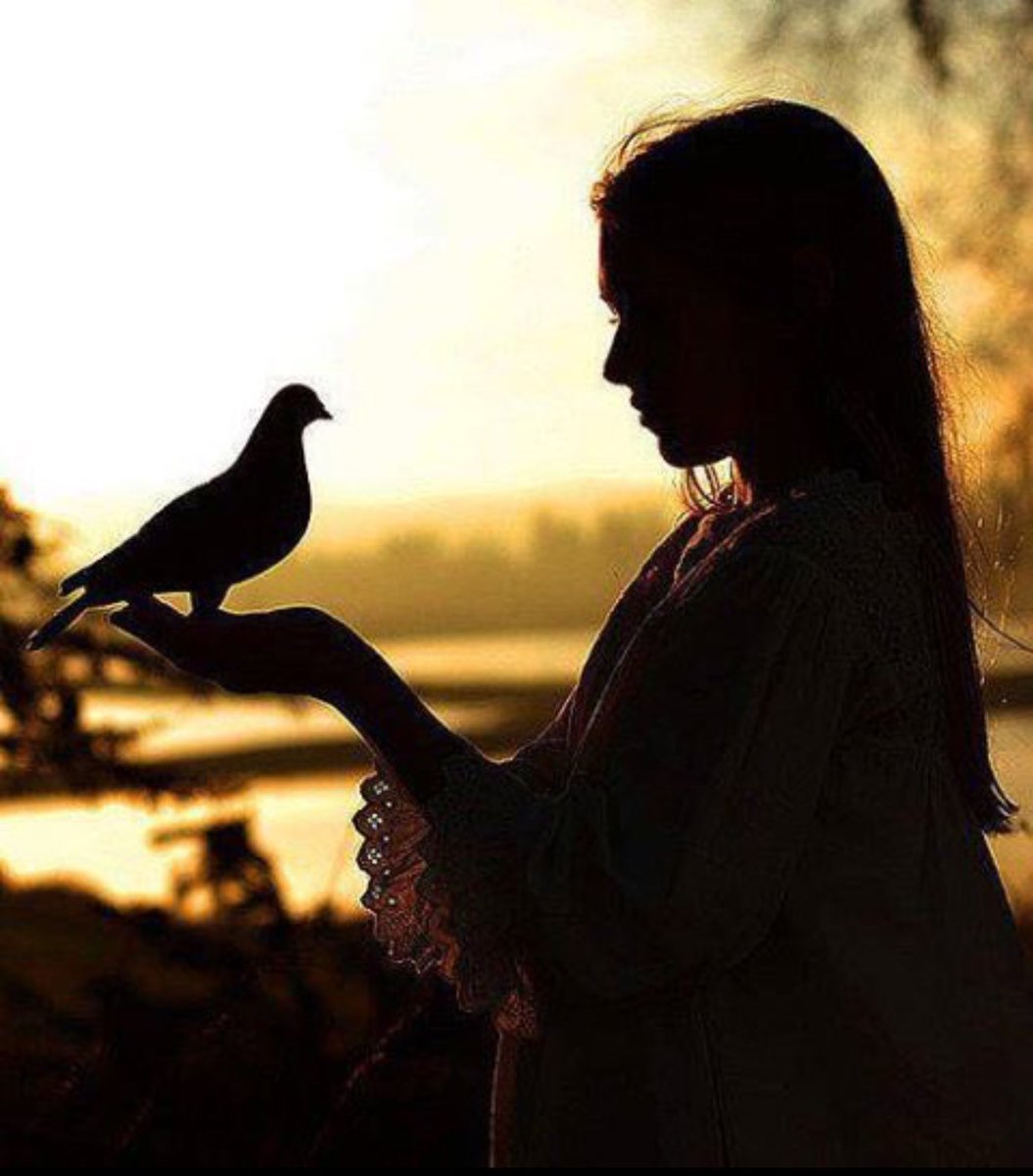 Noor_Alhuda tweet media