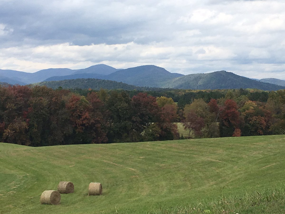 SallyLHudson's tweet photo. Yet another gorgeous Knock-tober day in Virginia. #GameOnVA #GOTViews https://t.co/5zEfmea2m2