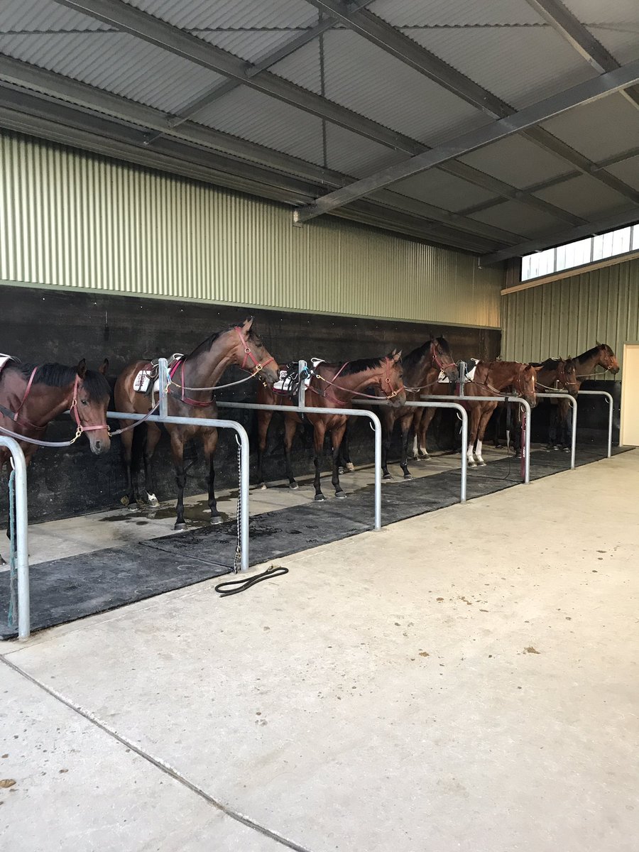J_MacRacing's tweet photo. The A team off to the beach.. CliffsEdge# LuckyHussler #TosenStardom #BigDuke #GailoChop #Humidor #Amelia'sStar @DKWeirRacing https://t.co/A5elzTEqww