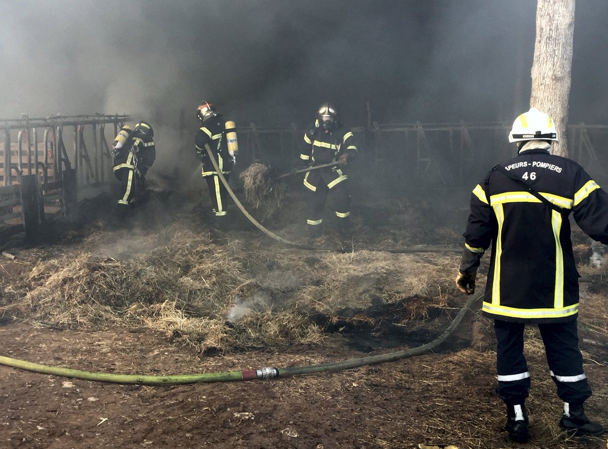 PompiersDuLot's tweet photo. Les @pompiersdulot sauvent une #stabulation de 600m2 le 27-10 à #Salviac.
#incendie
https://t.co/kPkO8gVz7f https://t.co/1OdVJvEGvU