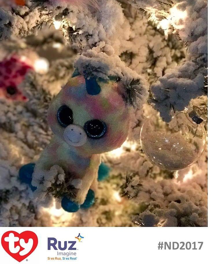 MakeAWishMX's tweet photo. #ND2017 Navidad, el espíritu de dar sin esperar recibir algo a cambio. @Ruz_mx  y Ty llevan luz y esperanza a wish kids. #ElPoderDeUnDeseo https://t.co/n1xAathlV1