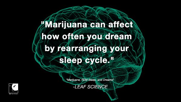 ToTheStarsMedia's tweet photo. #sciencesaturday #dreams #leafscience | “During the night, the brain cycles through 4 different stages of sleep... https://t.co/eJ8PFxAkFd https://t.co/5y1aIyrnAm
