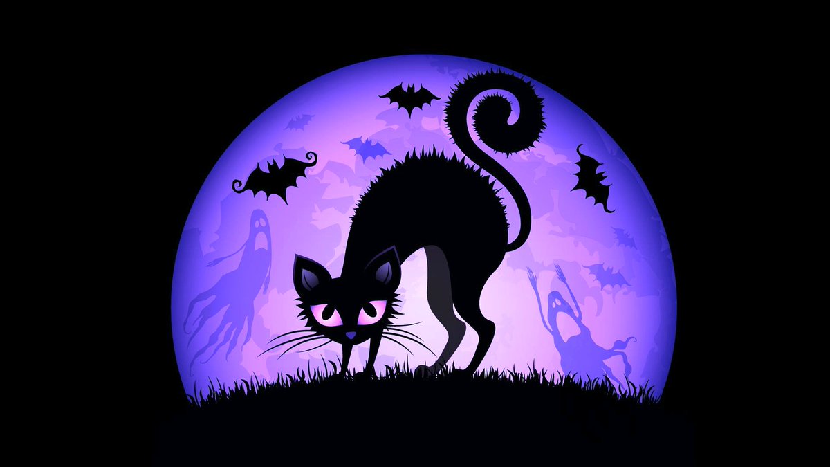 AFBasingstoke's tweet photo. Join @AFBasingstoke before October 31st &amp; pay NO MEMBERSHIP FEES UNTIL DECEMBER!
Sign up https://t.co/lZ3qitPDZI with Promo Code SPOOKY17... https://t.co/GDxXgWekoH