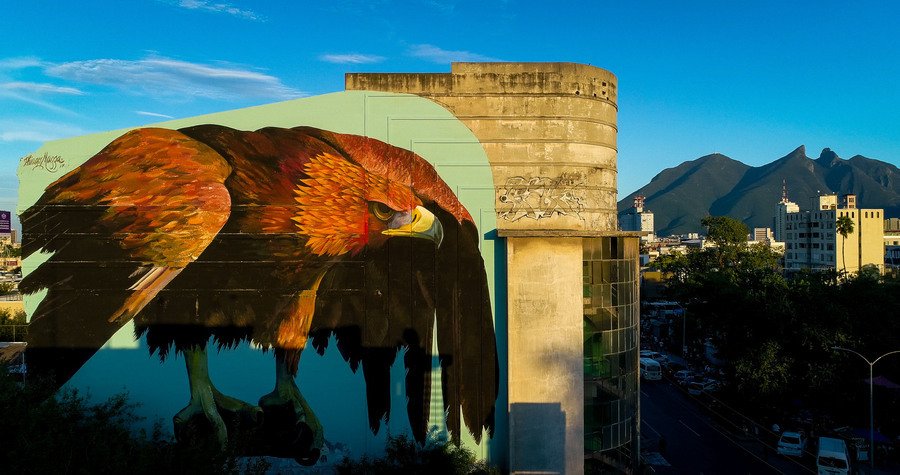 globalstreetart's tweet photo. #mazzolandia's #eagle honors the strength of the Mexican people after the earthquakes! ✊ 
Painted for @IPAF_Festival in #Mexico.
#streetart https://t.co/tf4TYEzPU7