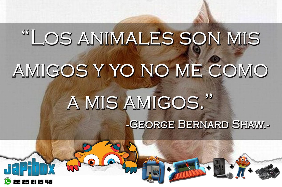 japibox's tweet photo. JapiFrases Día Mundial De Los Animales #Octubre #4DeOctubre #DíaMundialDeLosAnimales #BeJapi https://t.co/SAXWnjt3CR https://t.co/wPvrdmrz5I