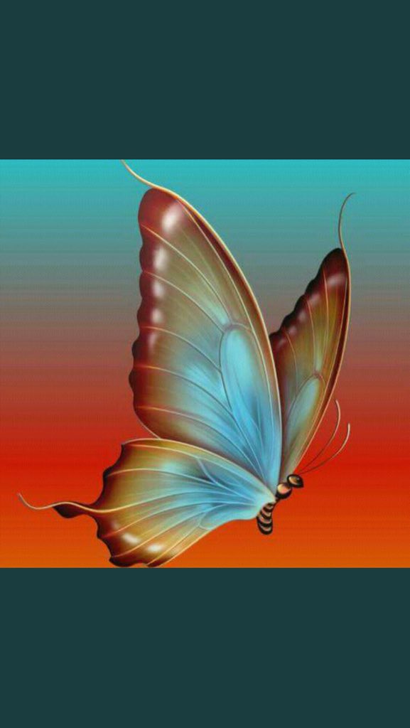 al3graeb's tweet photo. @almak7elaa  https://t.co/md7R67F1Kf