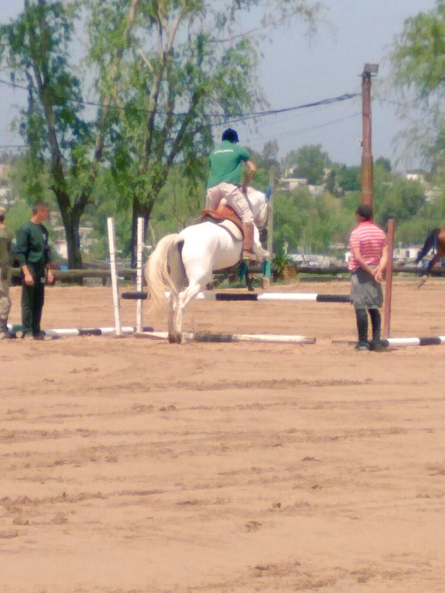 MaFerSouza_'s tweet photo. Competencia de salto #CENAFRE #equitacion https://t.co/yW4GaSx2r4