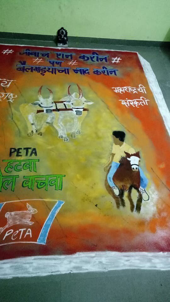 nikhil0216's tweet photo. @CMOMaharashtra @Dev_Fadnavis @fadnavis_amruta #savebull #save bailgada #MHneedbailgada https://t.co/NTmBzrMvAy