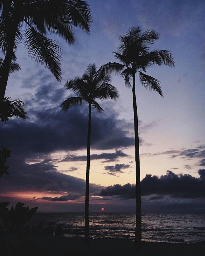 OrlaBeach's tweet photo. https://t.co/xkoMgpSMix