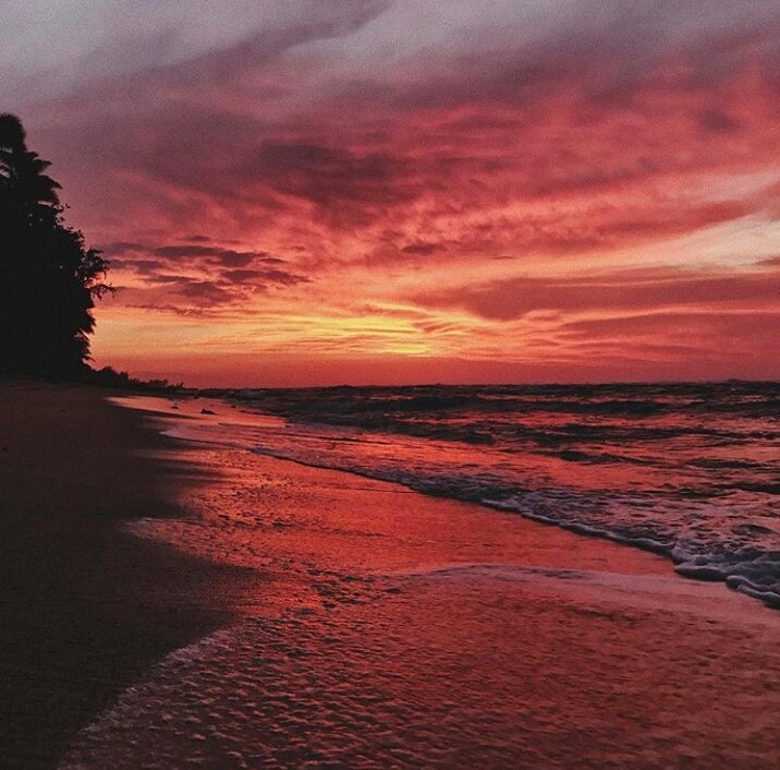 OrlaBeach's tweet photo. https://t.co/xkoMgpSMix