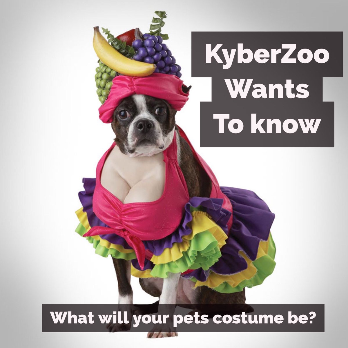 KyberZoo's tweet photo. #MegaSmartSuperStore #ShopTiLYouDrop #KyberZoo #scared #boo #spooky #scary #oct #halloween #ShopTilYouDrop #Spooky https://t.co/kEBlNOi45Z
