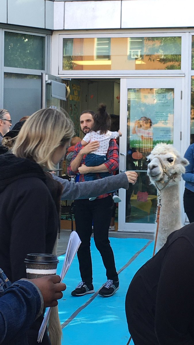bKwenth's tweet photo. @alliedise There was totally a cow across the street …. and a llama #TabootTaboot https://t.co/qXZgIMYTwR