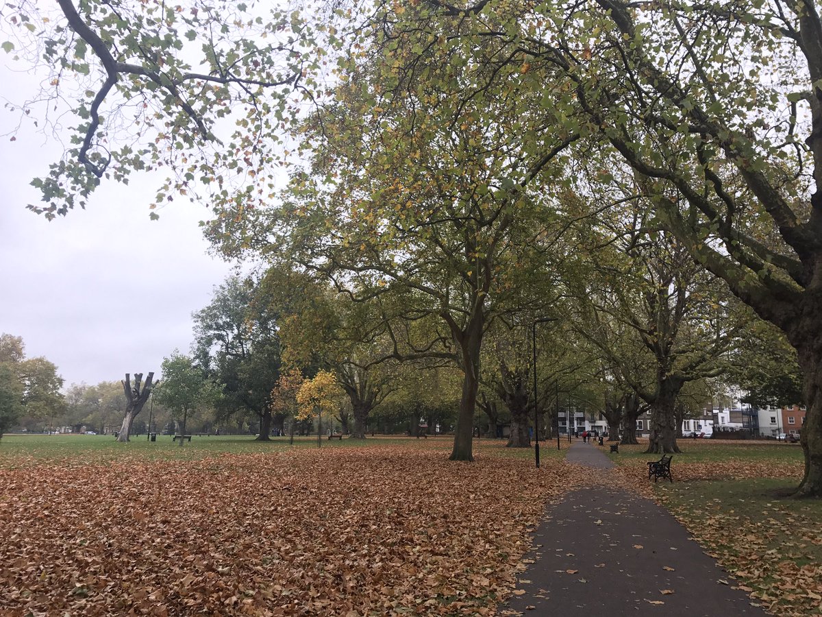 Eliza_A_Webb's tweet photo. Leafy run back home in London #autumngoodness #fresh #getoutside https://t.co/kFL7zpcEWH
