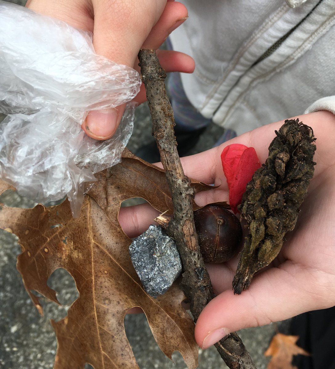 DoLikeDewey's tweet photo. #ScienceByInquiry #AmherstCountyDay @Sweetbriaredu #AmherstRocks https://t.co/LwEUjNu1eT