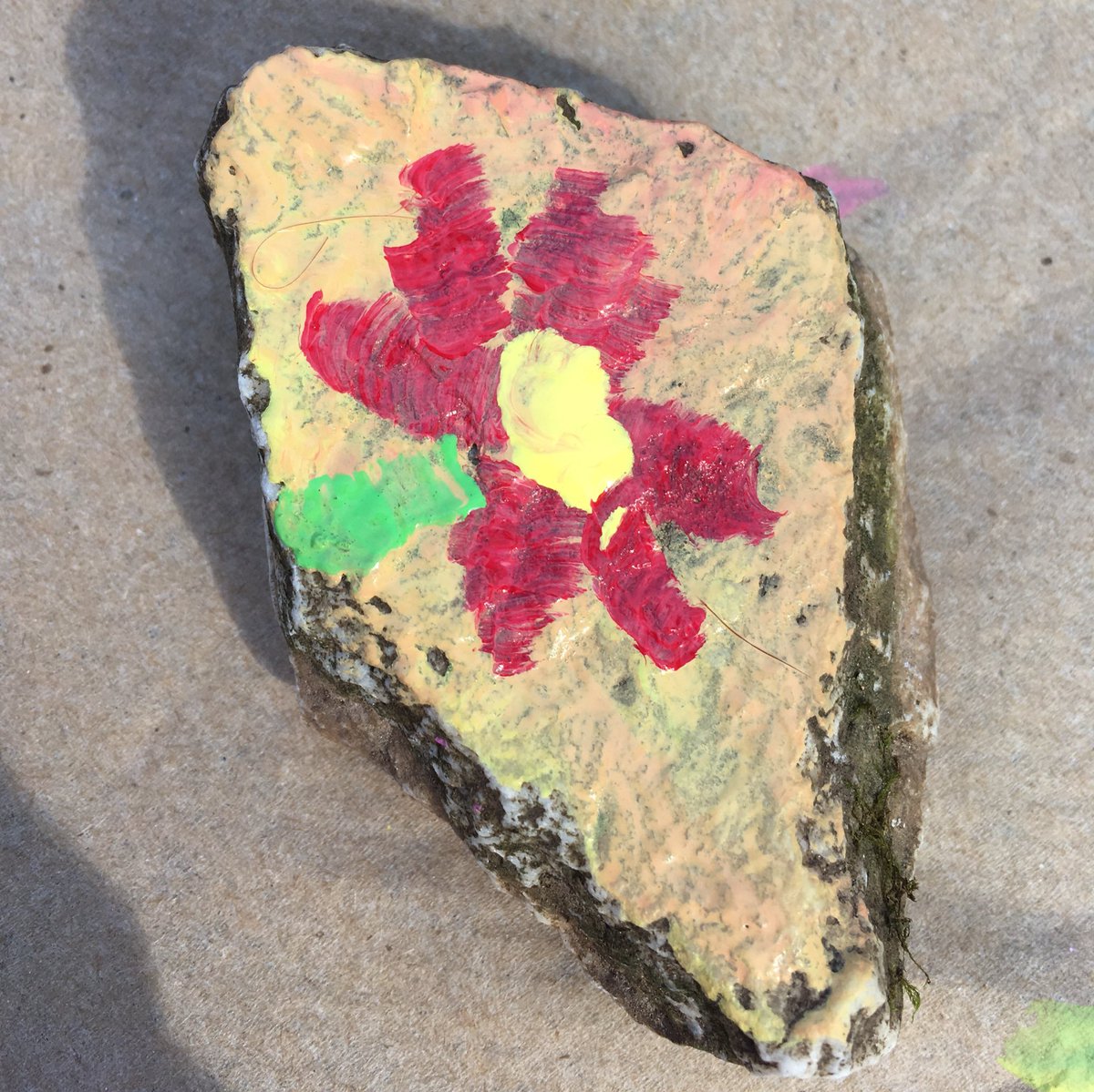 DoLikeDewey's tweet photo. #ScienceByInquiry #AmherstCountyDay @Sweetbriaredu #AmherstRocks https://t.co/LwEUjNu1eT
