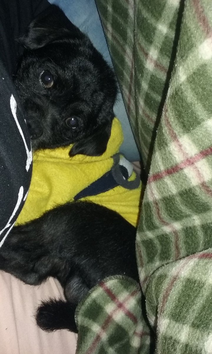 04Han_ny's tweet photo. @Canal1Colombia @xiounedosmundos @1VengaLeCuento El es tobby el bebe de la casa quiero saber como se siente con su familia y si quiere decirnos algo https://t.co/i0i9gDOCzD