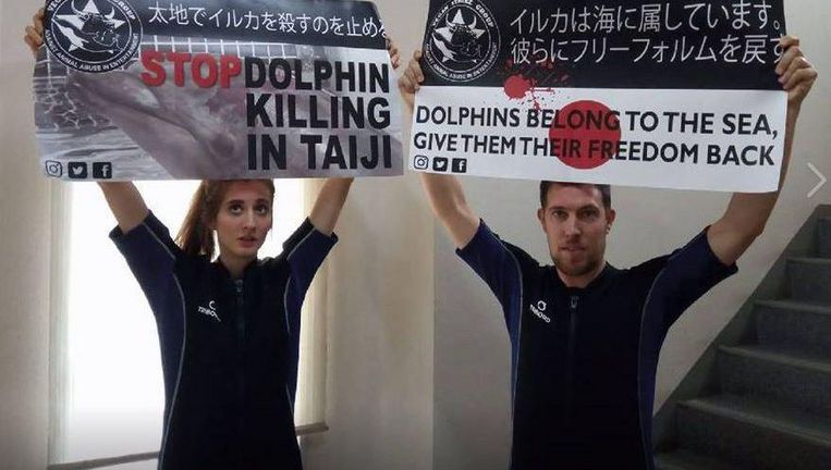 VeganStrikeGr's tweet photo. VeganStrikeGroup Kirsten de Krimpe &amp; Peter Janssen in #cell after disrupting #dolphinshow by jumping into the water
https://t.co/AzMLwoiJH3 https://t.co/vIuoHYHoow