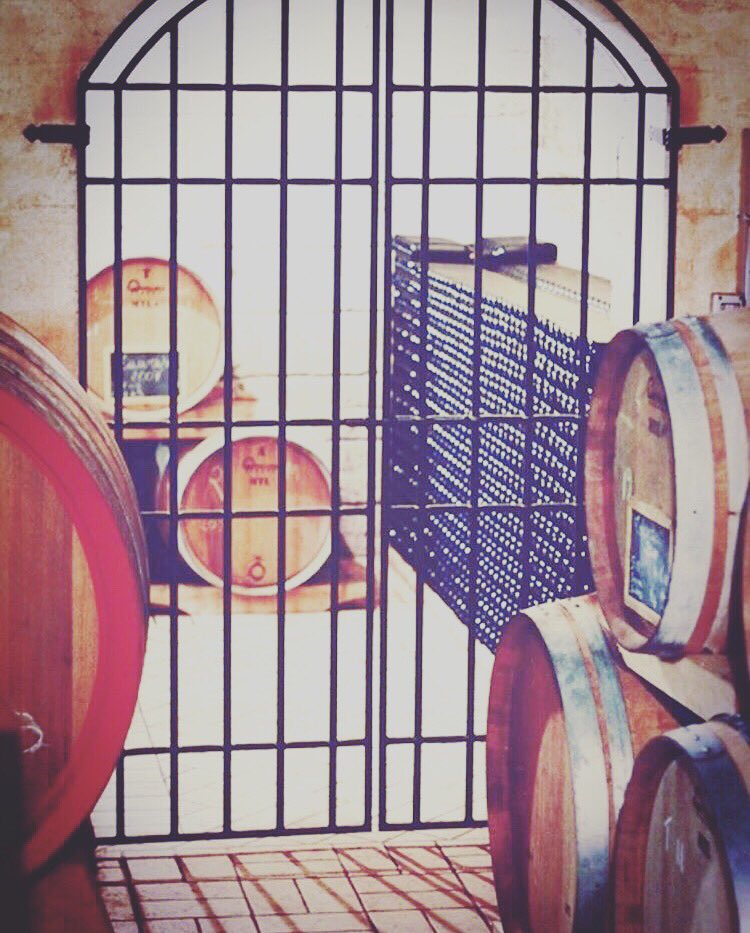 IFavati's tweet photo. #cellar #ifavati #irpinia #cesinali #avellino #fianodiavellino #aglianico #grecoditufo #taurasi #grapes #winetasting #magic #place #wine https://t.co/PZBEMYzjpQ