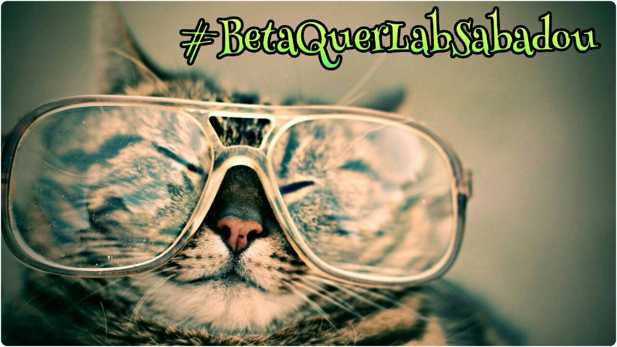 Excelente final de semana para todos! #BetaQuerLabSabadou #BetaQuerLab