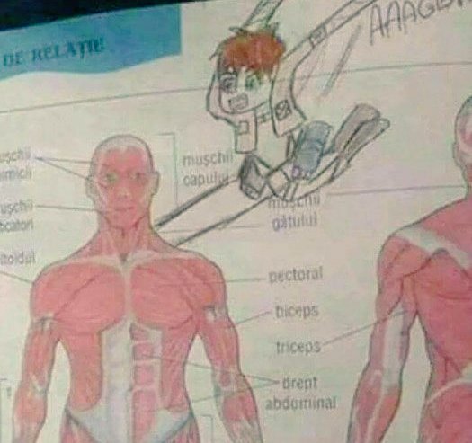 ElBuhonero_'s tweet photo. -Oye, pásame el trabajo...
+No lo hice
-Qué estuviste haciendo toda la clase?
+...... https://t.co/s0HcmjzbfO