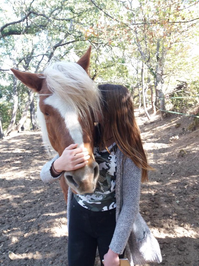 PDequitation tweet picture