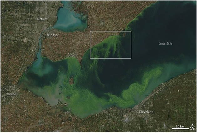 chrisronayne's tweet photo. Since 1956 #CLE Temp rose 2.5 F w 4 more 90+days Thanks @portofadam @Matt_T_Schmidt & Erick Rodriguez for #ClimateSmartCity ideas @APA_CLE https://t.co/FbbTMX0ZM4