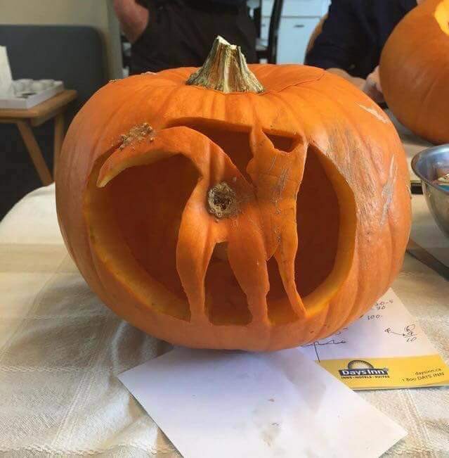 _Farmergeddon's tweet photo. @Kent_Online #kentpumpkins https://t.co/BmX2UACHMF