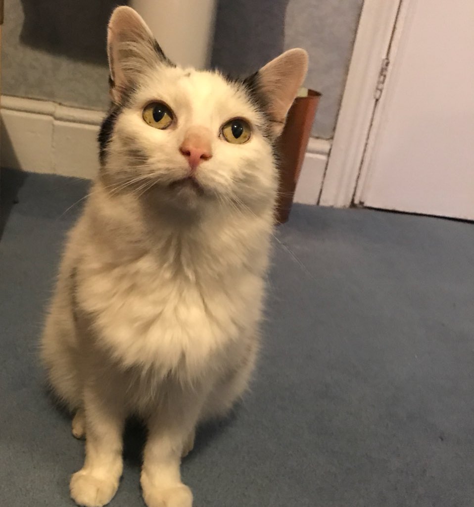 m20photography's tweet image. Photographing a wedding in Ingleton - we’re staying @Inglenookbandb with some very friendly hosts!