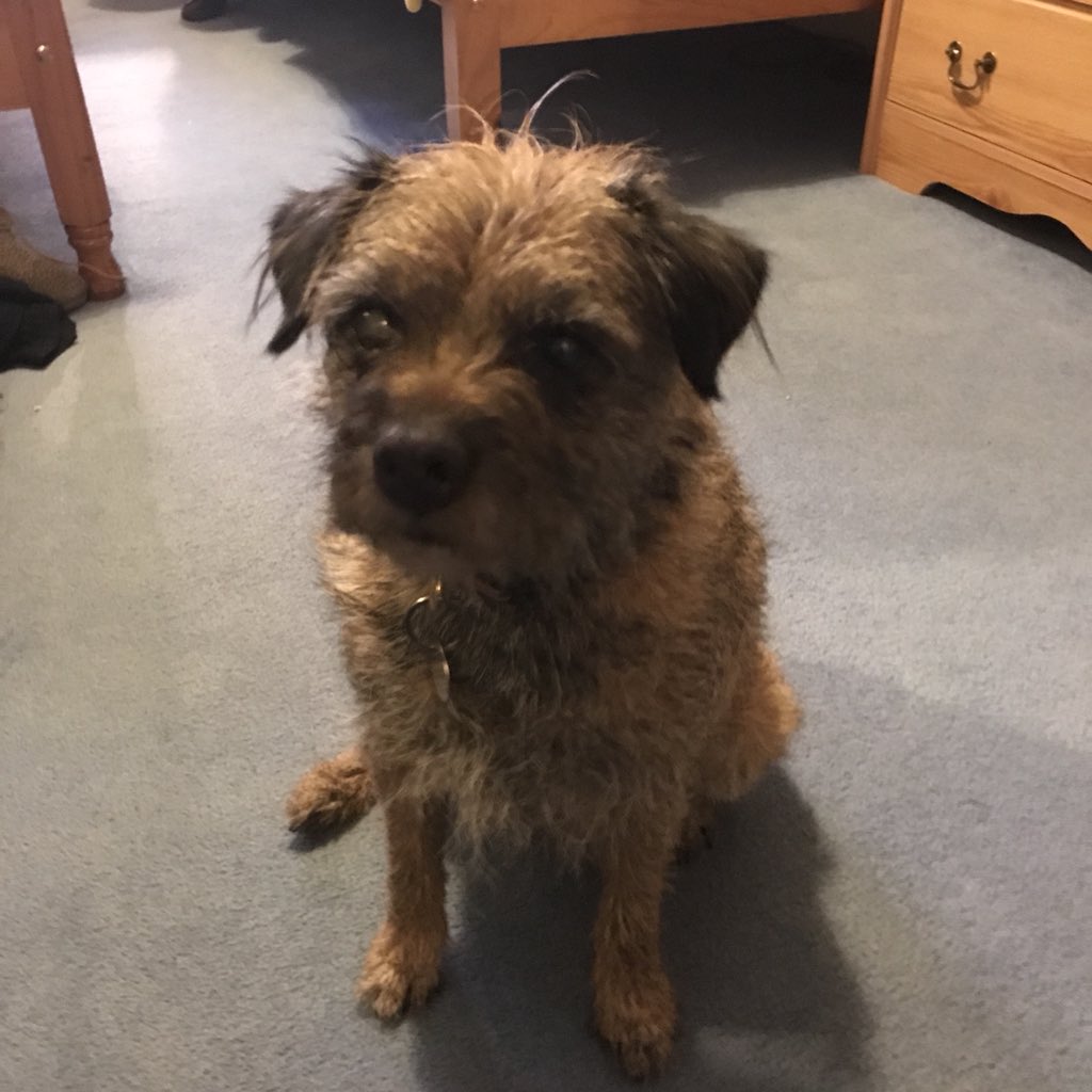 m20photography's tweet image. Photographing a wedding in Ingleton - we’re staying @Inglenookbandb with some very friendly hosts!